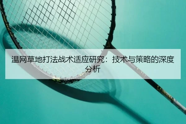 温网草地打法战术适应研究：技术与策略的深度分析